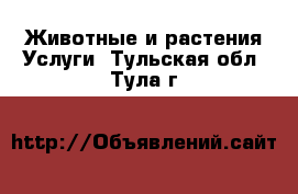 Животные и растения Услуги. Тульская обл.,Тула г.